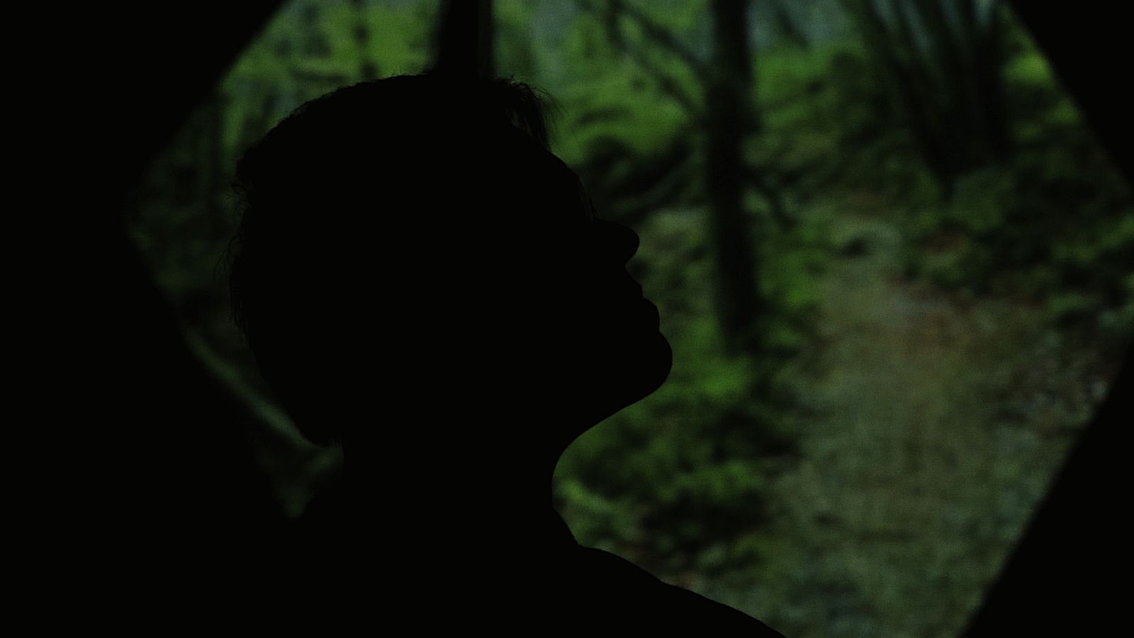 Guillaume Paps artiste pluridisciplinaire — portrait vidéo par Entrée 4 Liège